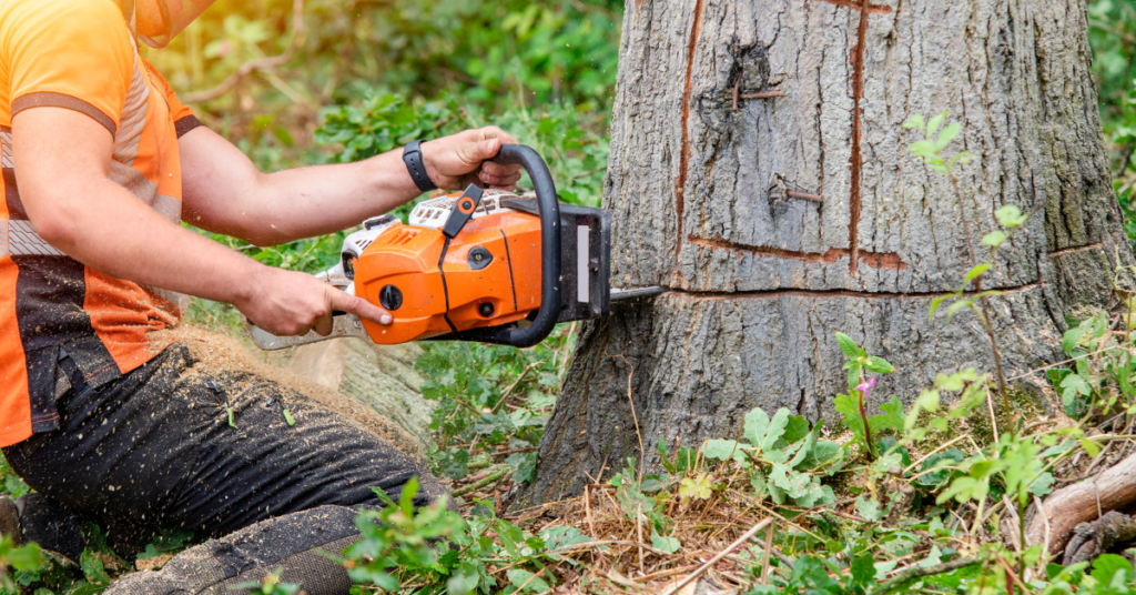 Why Is My Chainsaw Not Cutting? (Fix It Under 10 Minutes) - Chainsaw Skill