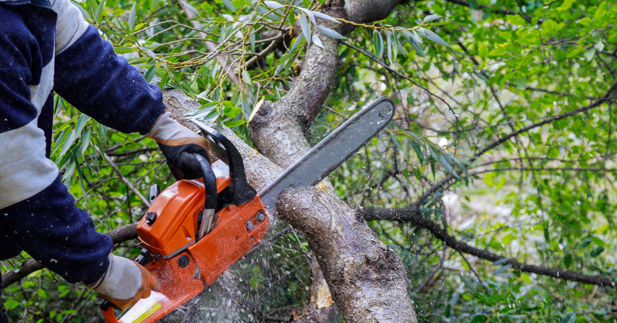 How to Use a Chainsaw Depth Gauge